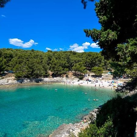 Apartment Zorika Near The Beach PUY 외부 사진
